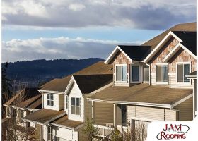 Roof Care: What’s Normal to See and What isn’t